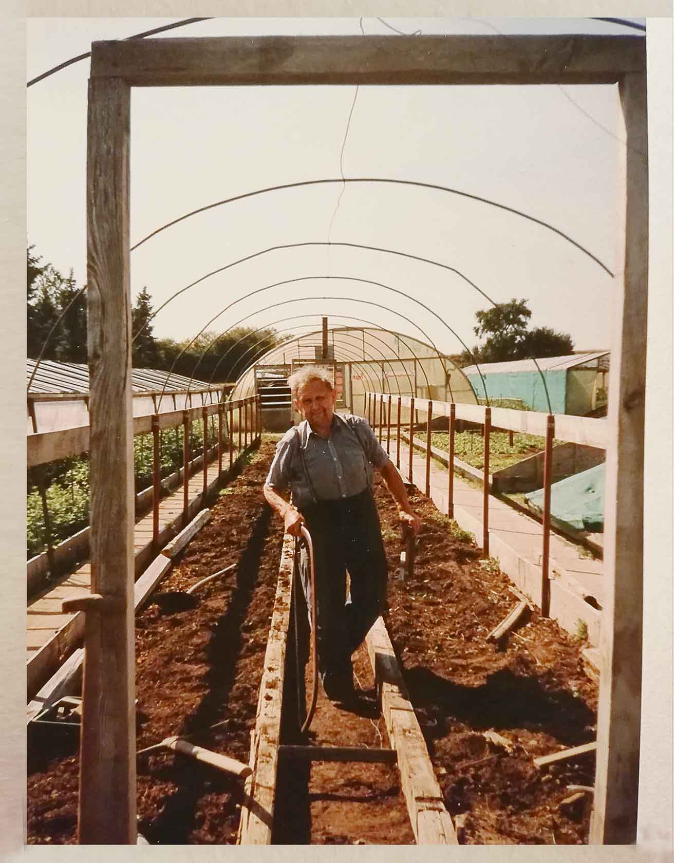 Georg Hohe bei der Arbeit in der Gärtnerei inmitten von Beeten stehend